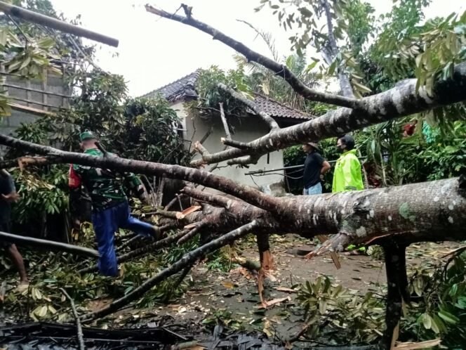 
					Babinsa Koramil 01/Bangli Bersama Warga Evakuasi Pohon Tumbang Akibat Hujan Deras dan Angin Kencang