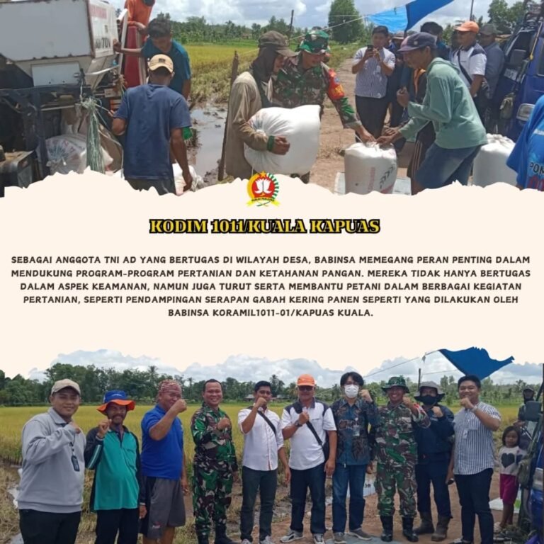 Kodim 1011/Kuala Kapuas Bersama Bulog Maksimalkan Serapan Gabah.