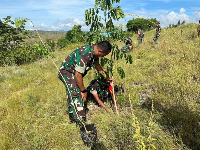 Danramil 1601-05/Waingapu Beserta Anggota Melaksanakan Penghijauan Di Lahan Kantor Kecamatan Kambera