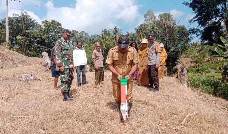 Babinsa Desa Kaloling Dampingi Petani Tanam Jagung Varietas JFR 71 untuk Perkuat Ketahanan Pangan