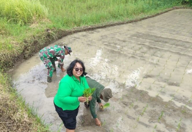 
					Babinsa Bebalang Aktif Dampingi Petani, Dorong Percepatan Tanam dan Ketahanan Pangan di Wilayah Binaan