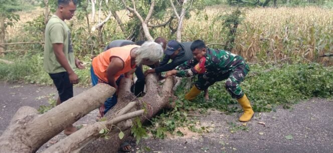 
					Tanggap Bencana, Babinsa Kodim 1425 Jeneponto Bersama Warga Evakuasi Pohon Tumbang