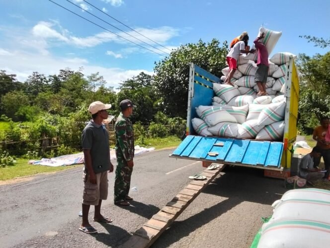 
					Babinsa Desa Adu Koramil 1614-03/Hu’u, dukung upaya BULOG serap gabah petani di kecamatan Hu’u.