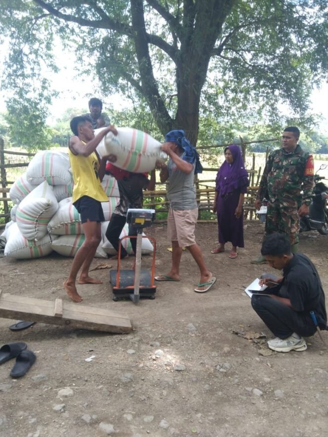 
					TNI dan Bulog Bersinergi Wujudkan Kesejahteraan Petani di Desa Nowa