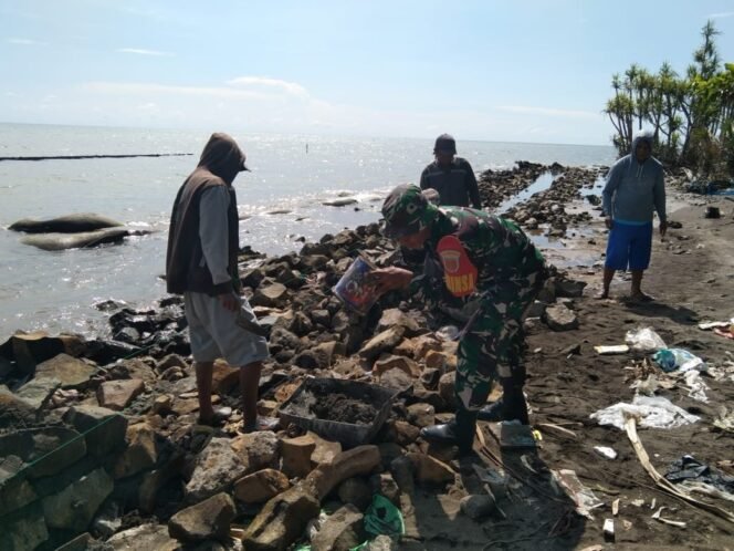 
Wujud Kepedulian, Babinsa Koramil 1426-06/Mapsu Bersama Warga Kerja Bakti Buat Pondasi Penahan Ombak