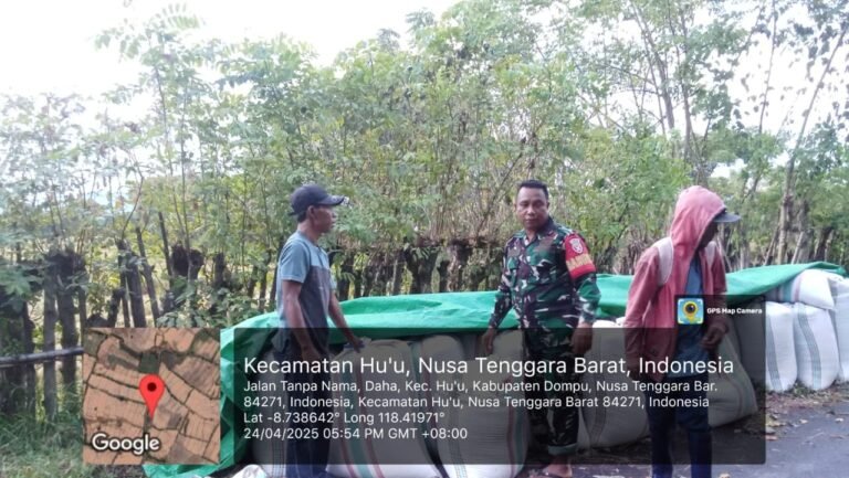 “Sertu Maulana Dampingi Penyerapan 10,9 Ton Gabah di Daha”