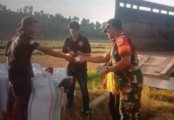 
					Babinsa Serda Hamid Koramil 1614-06/Manggelewa Dampingi Bulog Serap Gabah Petani Sesuai HPP