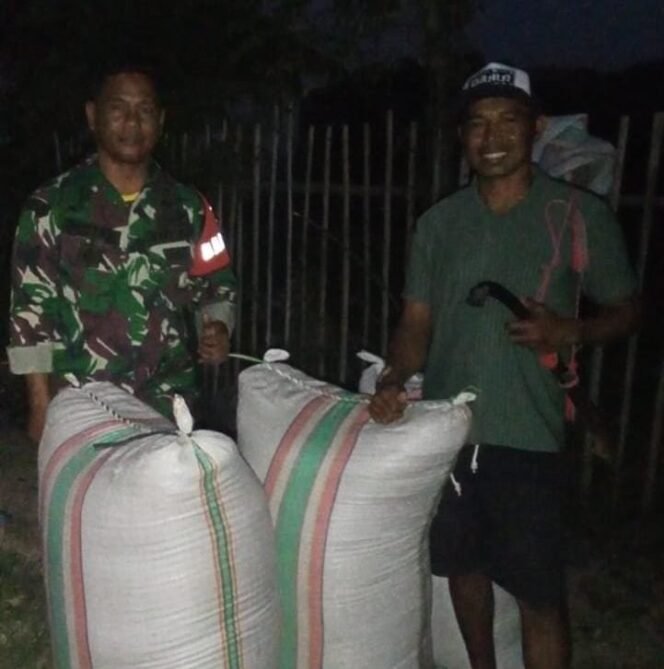 
					Babinsa Serka Rustam Koramil 1614-03/Hu’u Serap 11 Ton Gabah, Perkuat Ketahanan Pangan