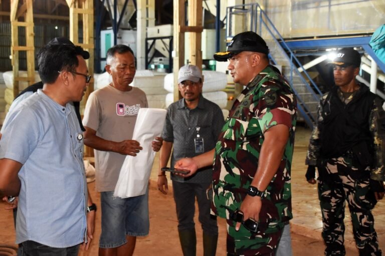 PANEN MELIMPAH, MESIN MANDEK; USAI RAKOR SEGAB BERAS, KODIM DAN BULOG GERAK CEPAT CEK RMU DEMI PETANI MERAUKE