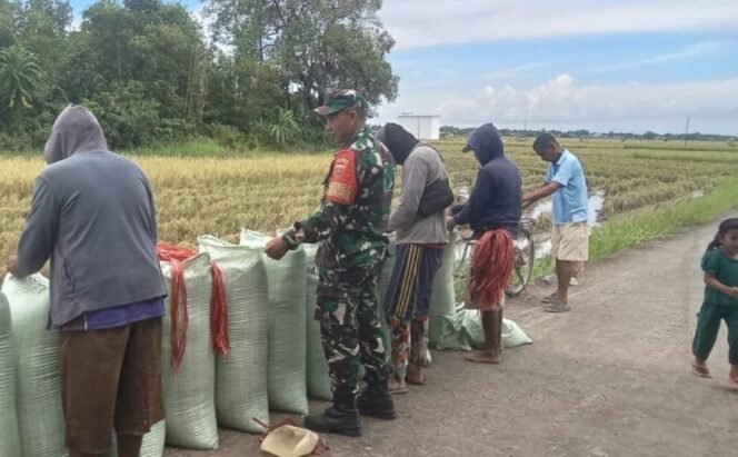 
					Sukseskan Swasembada Pangan, Babinsa Kodim Takalar Dampingi Petani Panen Padi