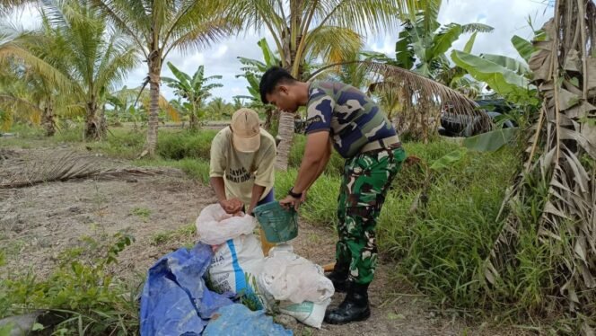 
Satgas TMMD ke-124 Kodim 1201/Mempawah Bantu Warga Bersihkan Lahan untuk Musim Tanam Padi