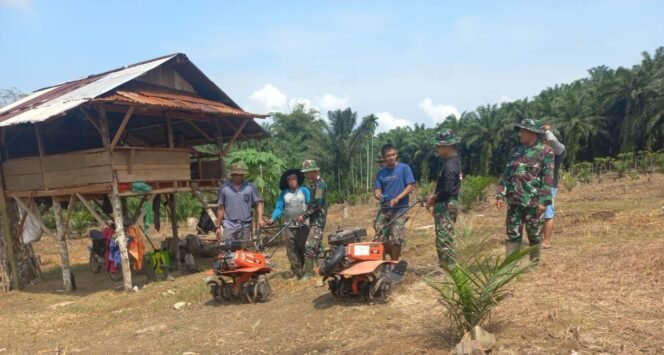 
					Satgas TMMD Ke-124 Kodim 0408/BS Bantu Bajak Tanah Lahan Petani