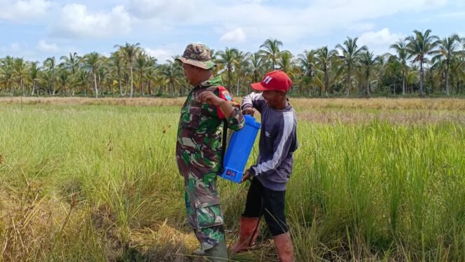 
Tak Hanya Bangun Fisik, Satgas TMMD Juga Bangun Produktivitas Petani
