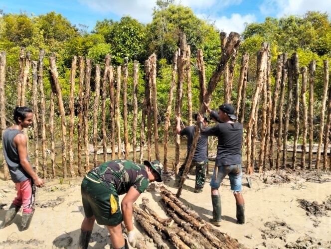 
					Gotong Royong Satgas TMMD dan Warga Pasang Cerucuk di Desa Talio Meski Cuaca Panas dan Tanah Berlumpur