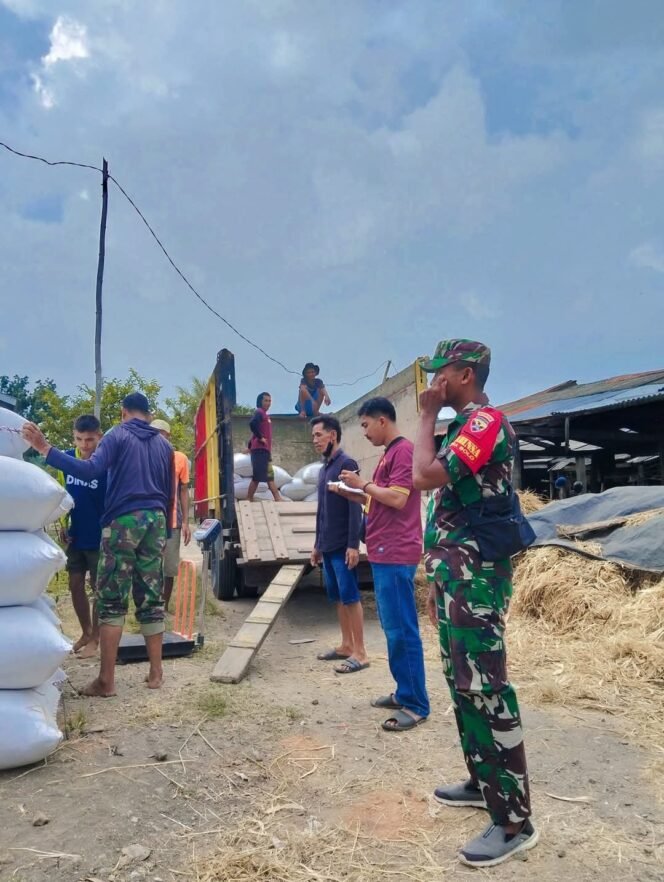 
					Babinsa Bolo Fasilitasi Serapan Gabah Petani oleh Bulog