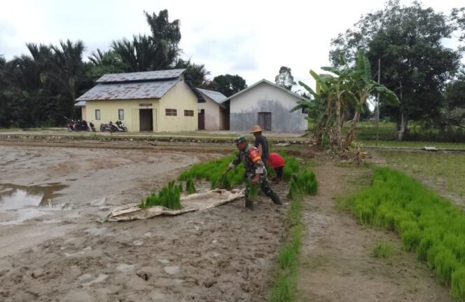
Babinsa Jadi Motor Penggerak Kemajuan Pembangunan di Desa