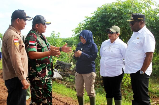
					Dorong Kemandirian Pangan, Merauke Galakkan Pertanian Modern di Distrik Kurik