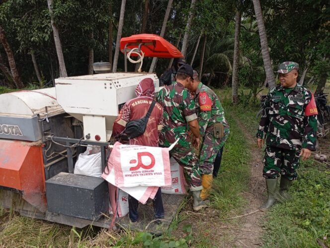
					Langkah Nyata Babinsa Koramil 1003-06/Simpur-Kalumpang dalam Mendukung Ketahanan Pangan