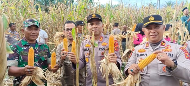 
					Danpos Ramil Pasie Raya Panen Jagung Bersama