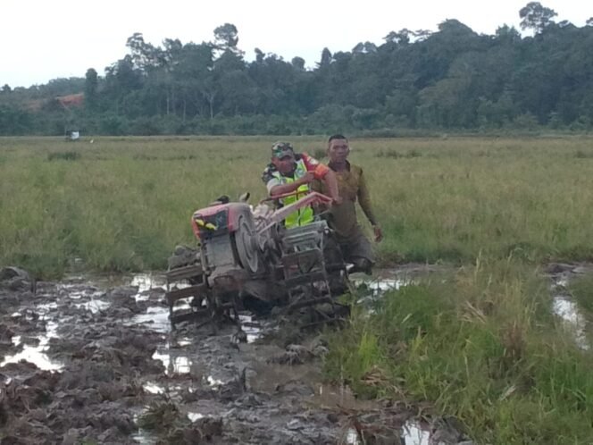 
Babinsa Koramil 0105-10/Woyla Barat Sertu Sutrisno Bantu Petani Bajak Sawah di Desa Pasi Jeut