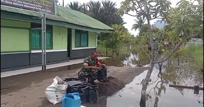
					Lahan Terbatas Bukan Halangan! Babinsa CLU Buktikan dengan Kebun Lombok Polibag