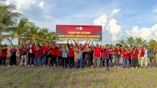 
					ANGGOTA KODIM GANDENG MAHASISWA UNTAN DAN MASYARAKAT TANAM PADI BERSAMA DI LOKASI TMMD REGULER KE-124