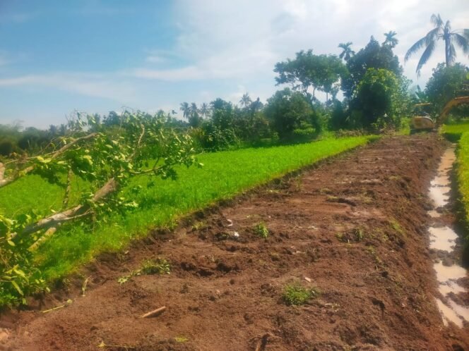 
					Setelah Pondasi Jembatan, Satgas TMMD Ke-124 Keruk Sawah Jadi Jalan Baru di Bagu
