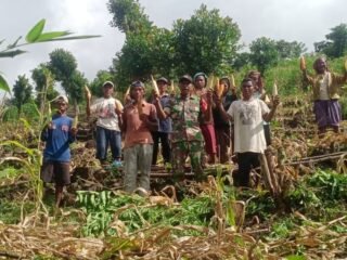 Peran Aktif TNI di Omesuri Dalam Sektor Pertanian.