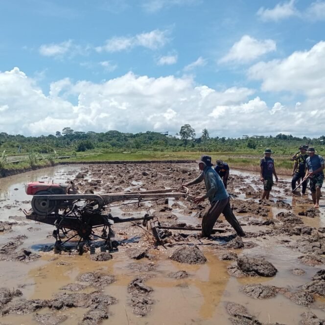 
					Satgas TMMD ke-124 Kodim 0315/Tanjungpinang Siapkan Lahan Pertanian untuk Dukung Ketahanan Pangan