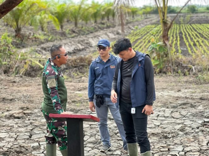 
					Tim CSR PT. BAI Terkesan, Demplot TMMD Jadi Simbol Ketahanan dan Harapan Masyarakat Desa
