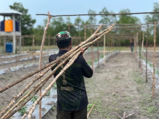 
					Satgas TMMD Kodim 1012/Buntok Bangun Tempat Rambatan Sayuran, Optimalkan Ketahanan Pangan di Sababillah