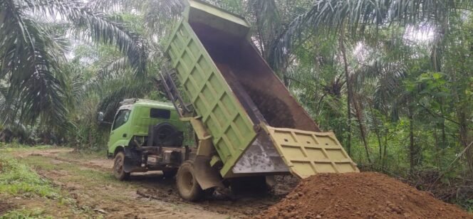 
Satgas TMMD ke-124 Kodim 1431/Bombana Percepat Pengerjaan Jalan Usaha Tani