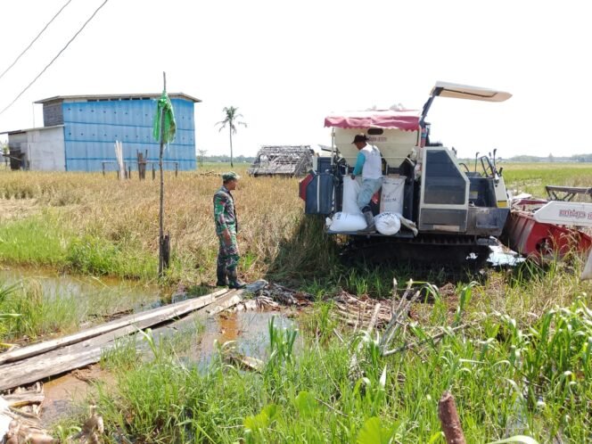 
					Dukung Program Ketahanan Pangan Babinsa Teluk Batang Membantu dan Memotivasi Masyarakat