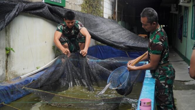 
Kodim 1001/HSU-BLG Budidayakan Ikan Lele dan Gurame untuk Mendukung Ketahanan Pangan