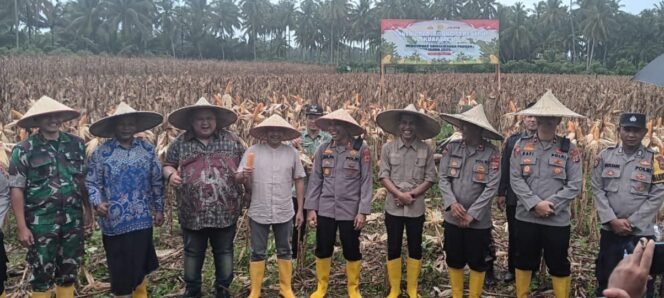 
					Pembangunan Ketahanan Pangan: Polri Bersama Pemkab Aceh Jaya Sukseskan Panen Jagung Perdana Kuartal II di Desa Paya Baro