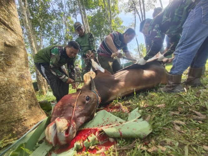 
					Harmoni Idul Adha: Kodim 1010/Tapin Wujudkan Kebahagiaan Bersama 5 Hewan Kurban
