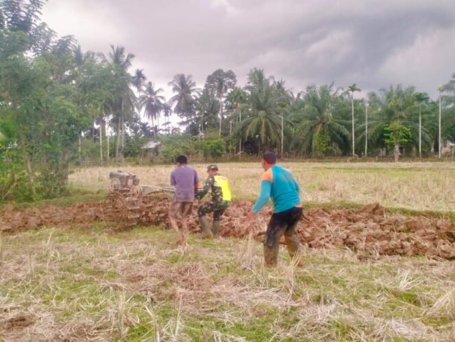 
					Babinsa Koramil 02Woyla, Bantu Petani Bajak Lahan Untuk Tanam Jagung di Desa Binaan