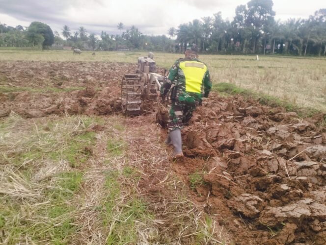 
					Babinsa Koramil 02/Woyla Melaksanakan Pendampingan Tentang Hanpangan, Bantu Petani Bajak Sawah dengan Menggunakan Hand Traktor