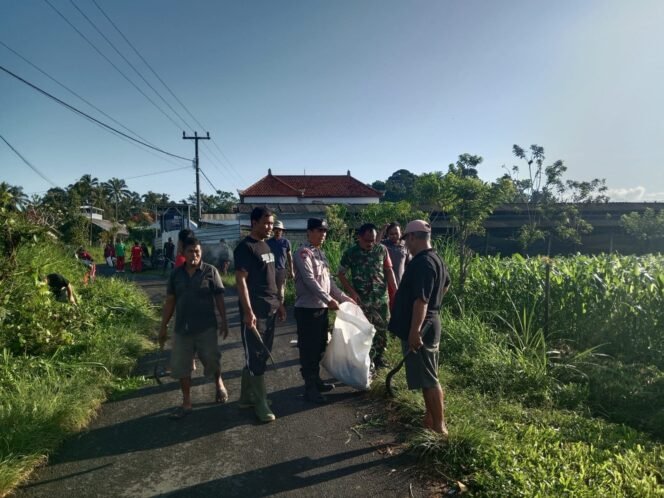 
					Babinsa Peninjoan Gotong Royong Bersama Warga Bersihkan Sampah