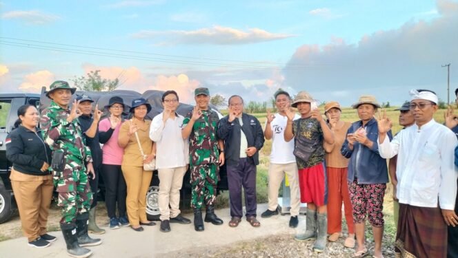 
Dandim 1626/Bangli Terjun Langsung Dampingi Serap Gabah Petani oleh Bulog di Subak Anyar, Cempaga