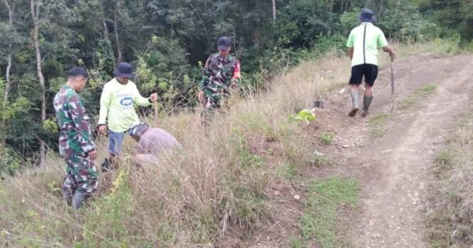 
					Penghijauan Di Wilayah Binaan, Jajaran Personil Koramil 03/Baraka Bersama Warga Tanam 100 Pohon Mahoni