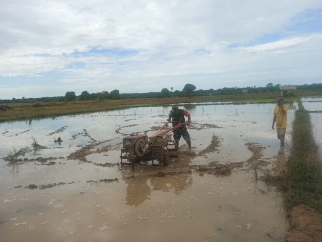 
					Babinsa Koramil Panga Turun Langsung Bantu Petani Olah Lahan Pertanian