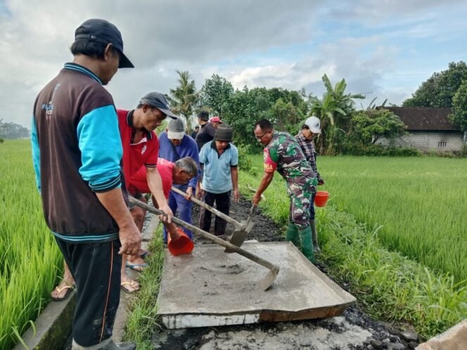 
					Komitmen TNI Dalam Mendukung Pembangunan Infrastruktur Pedesaan, Sertu Made Suarnika Antusias Bantu Warga