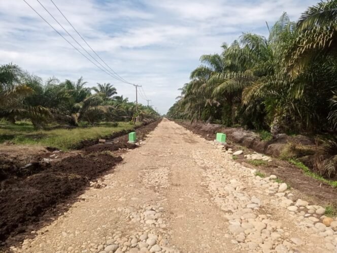 
					Gotong Royong Satgas dan Warga Hasilkan Jalan Baru TMMD 125 di Desa Wonosalam