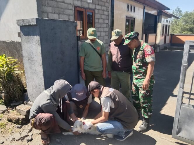 
					Babinsa Desa Sukawana Dampingi Vaksinasi Hewan Peliharaan di Desa Sukawana