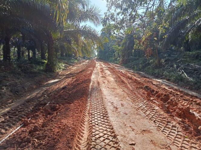 
					Penimbunan Tanah TMMD Reguler ke-125 Kodim 1017/Lmd Rampung 100 Persen di Desa Batu Kotam