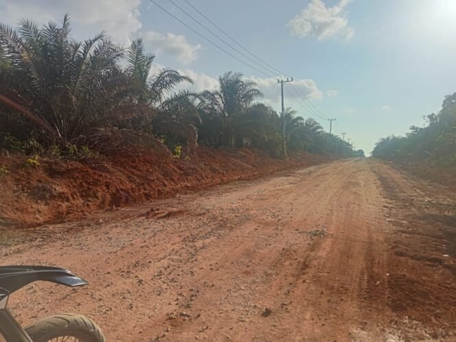 
					TMMD ke-125 Kodim 1017/Lmd: Penimbunan Tanah Rampung 100 Persen