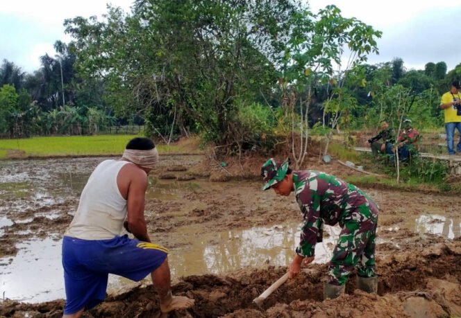 
					Membangun Ketahanan Pangan, Kodim 1003/HSS Laksanakan Program Oplah