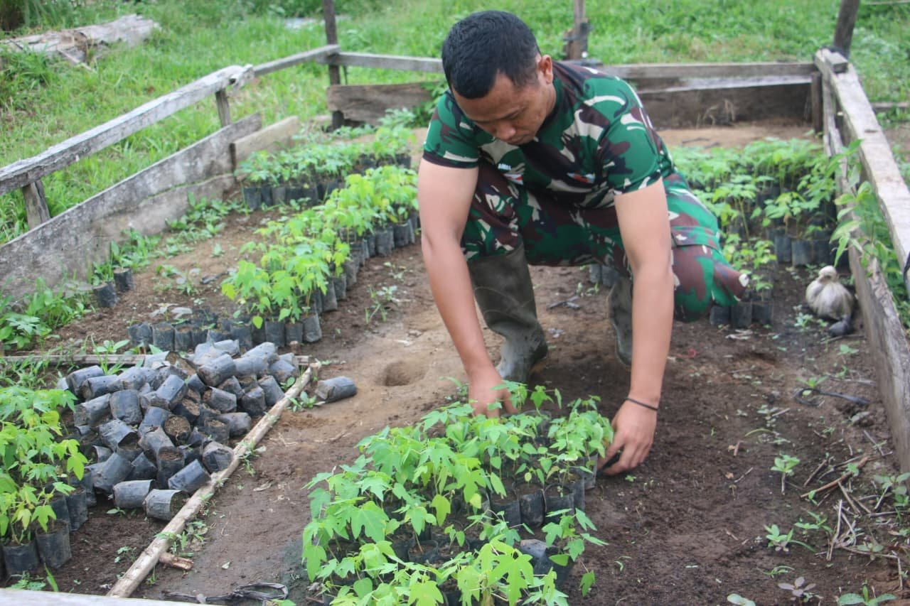 Mengoptimalkan Lahan untuk Ketahanan Pangan: Korem 012/TU Berinovasi