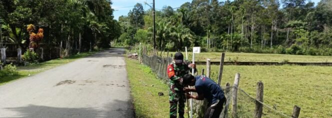 
					Jaga Lahan Pertanian, Babinsa Koramil 02/Woyla,Bantu Perbaikan Pagar Kebun Warga Desa Binaan.